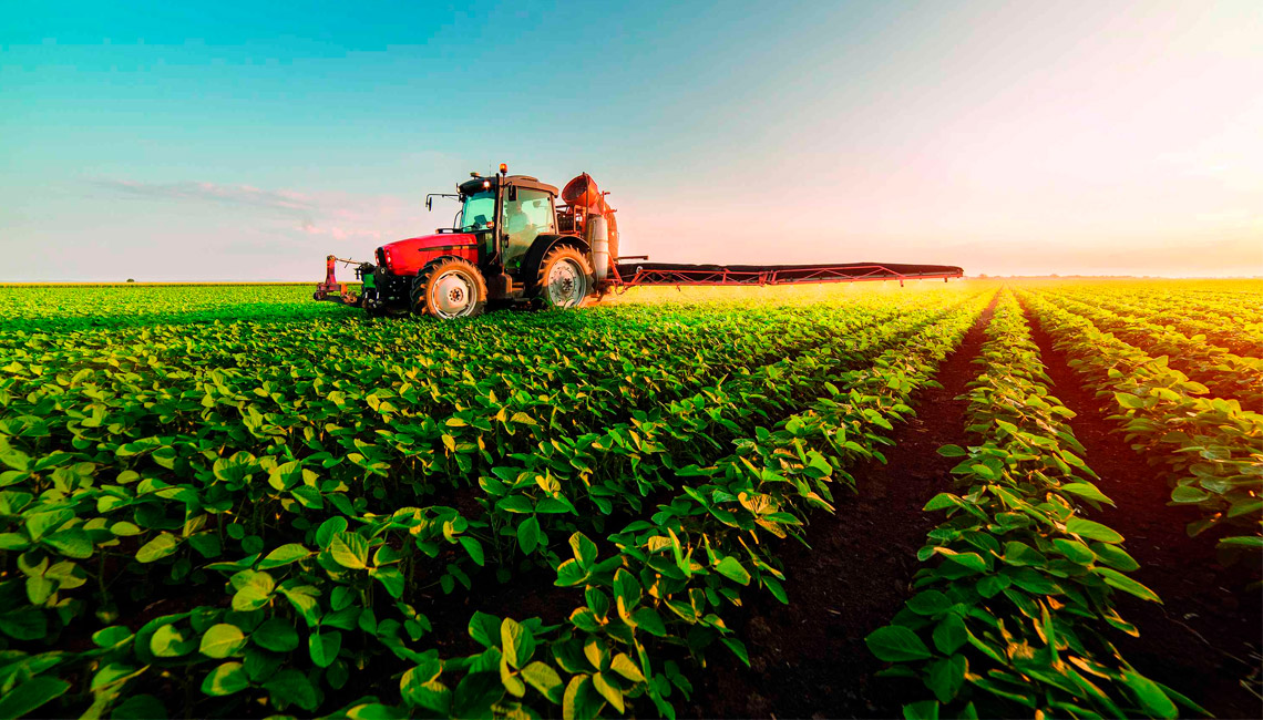 La agroindustria exportó casi 10 mil millones de dólares en 2024, un 26% que en 2023