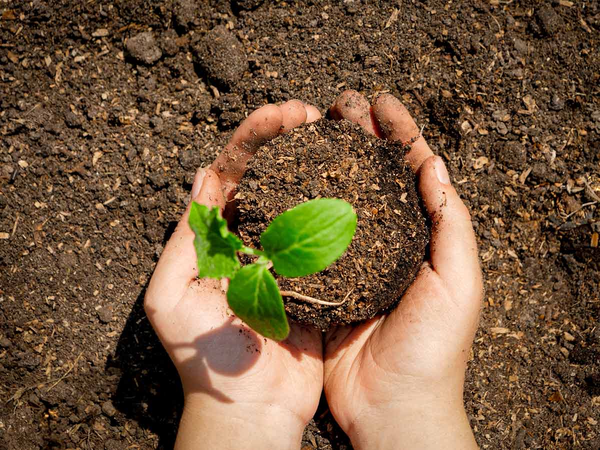 Invitan a empresas cordobesas a sumarse al Registro de Huella de Carbono