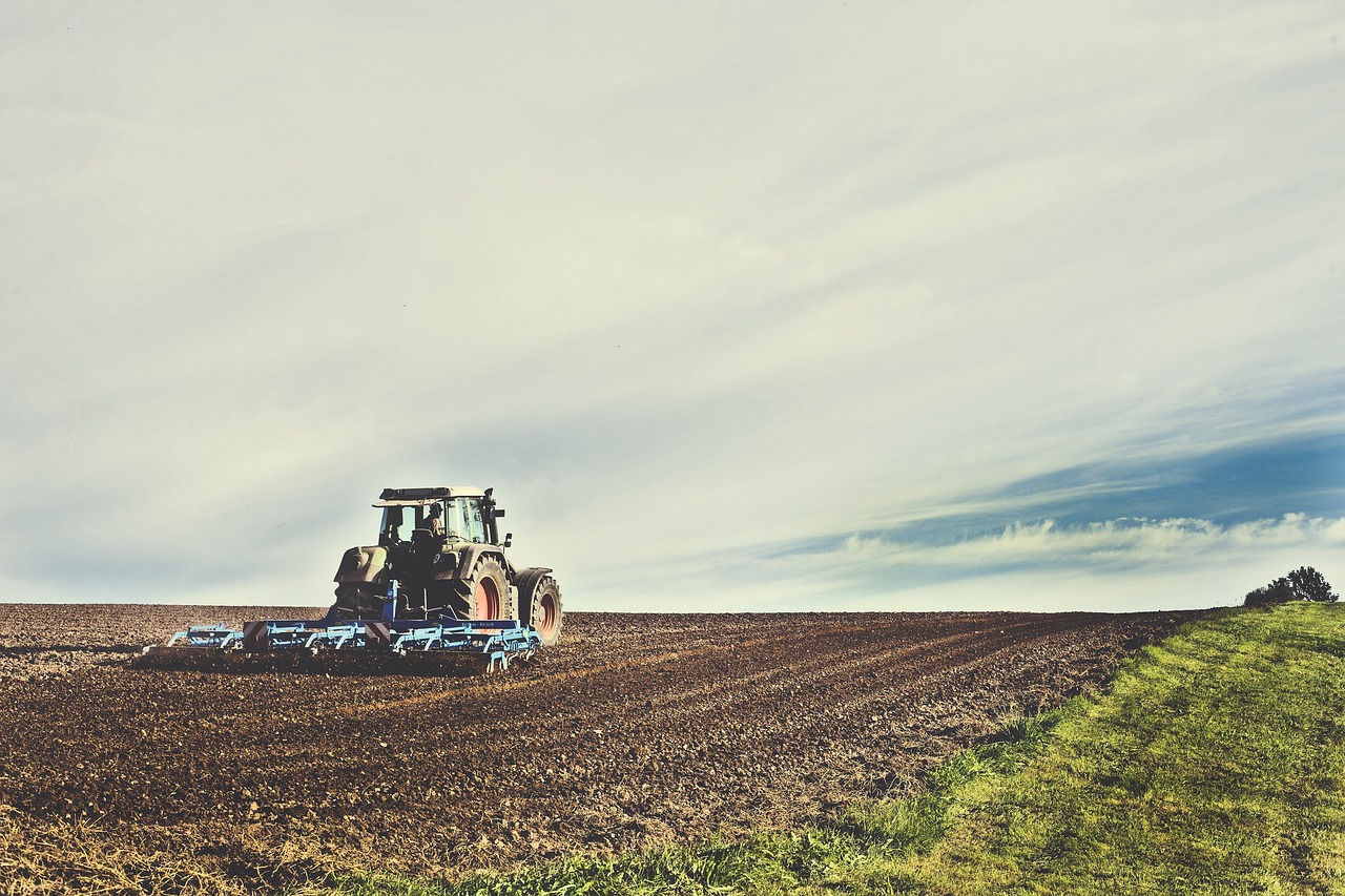 Fuerte crecimiento de las exportaciones agroindustriales