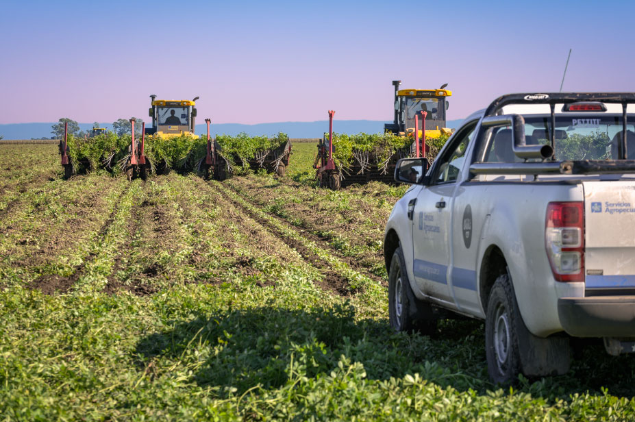 Servicios Agropecuarios fue reconocida entre las ocho mejores empresas del campo en 2024